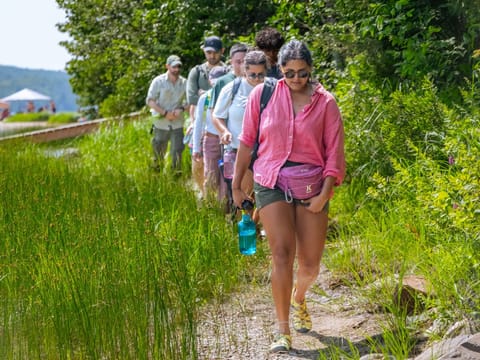A line of walkers following a narrow sand path between tall reeds and green scrub, the one in front carrying a water bottle